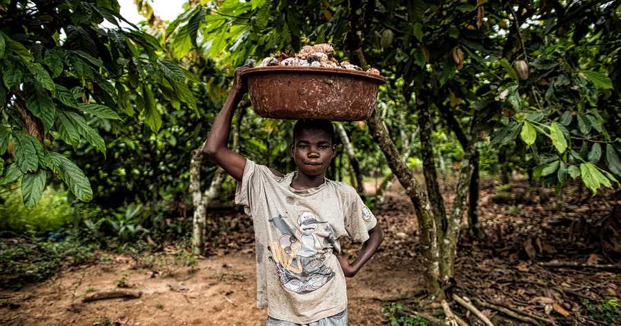 Help End Child Labour In The Cocoa Industry! | Just Kai