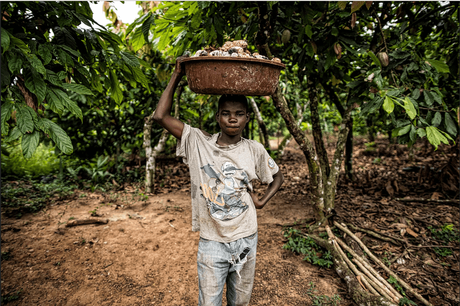 boy with basket of cocoa pods on head