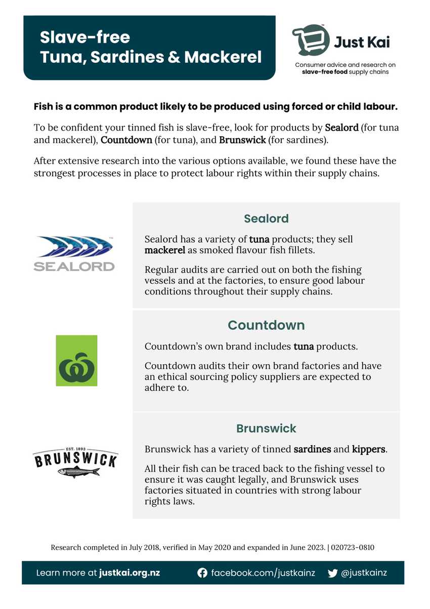 Summary graphic: tuna and mackerel from Sealord and sardines from Brunswick are slave free; John West tuna probably is; Countdown is working on the supply chain of their tuna, sardines and mackerel; Pacific Crown and Pams cannot be confident their fish is slave free.