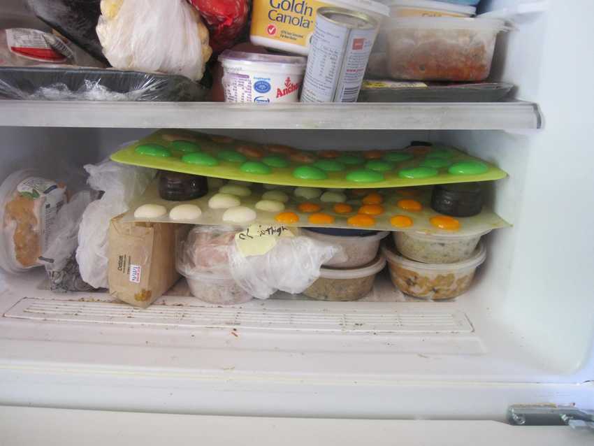 freezer shelf with two flexible trays on top of sundry items.  Trays hold many round flattened blobs of colour.