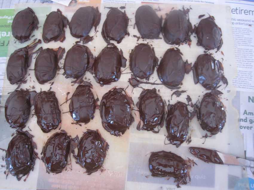 tray of half-eggs, flat side down, with chocolate on upper surface