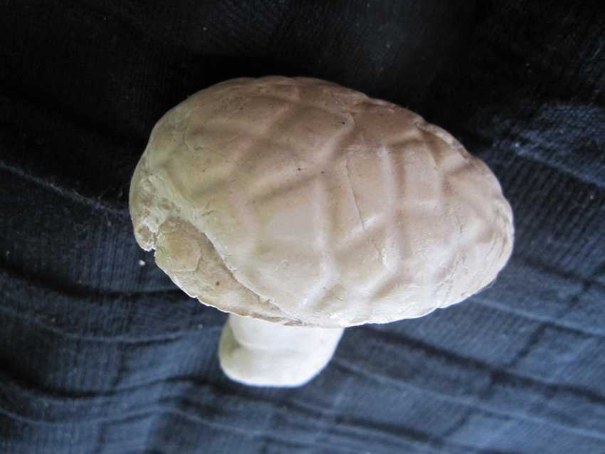 clay egg-shape with handle